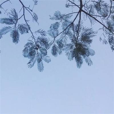 全面战争竞技场手游