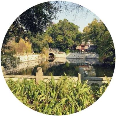 进球大师fifa足球经理游戏下载