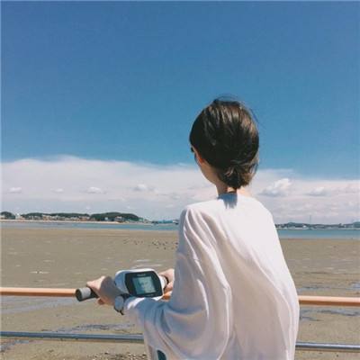 弗洛姆伯根中文手机版下载